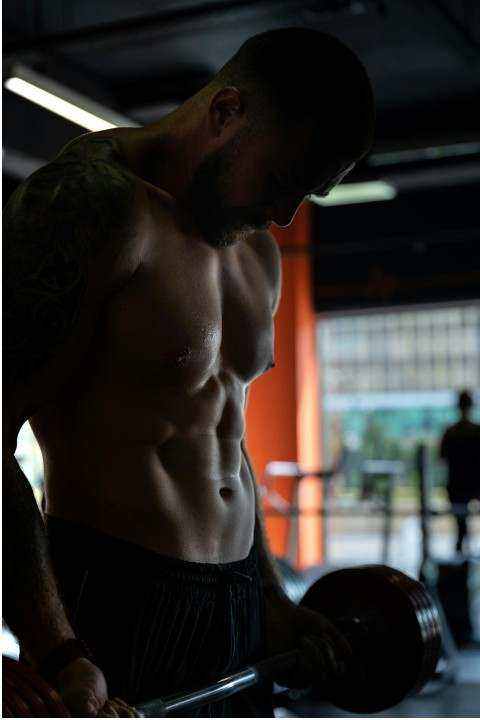 Workout B